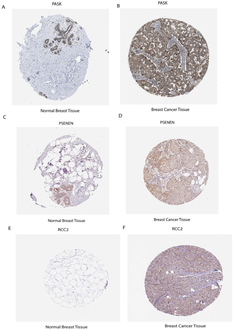 PMC12295015 – ijms-26-06995-f009