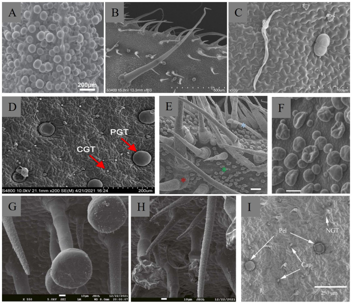 PMC12294984 – ijms-26-07008-f002