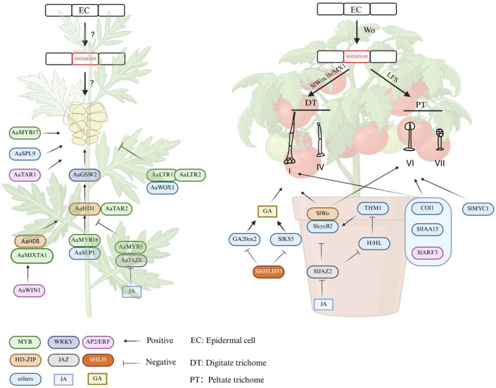 PMC12294984 – ijms-26-07008-f003