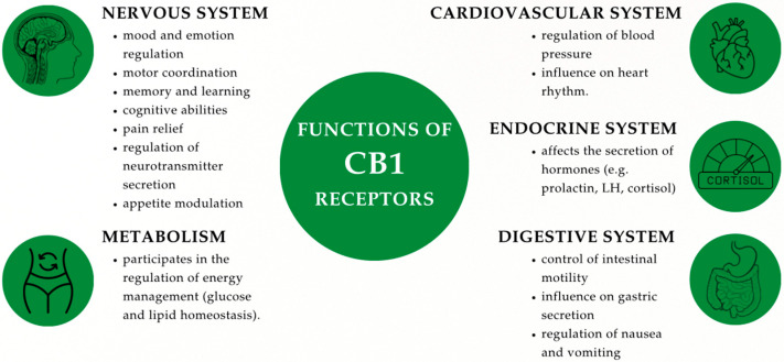 PMC12346570 – ijms-26-07095-f001