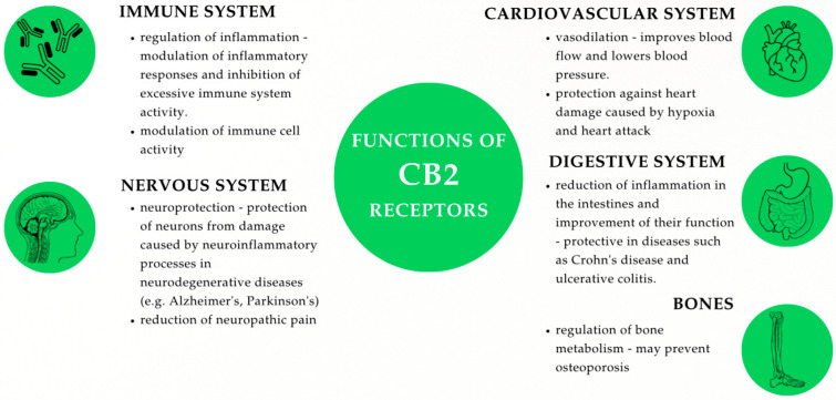 PMC12346570 – ijms-26-07095-f002