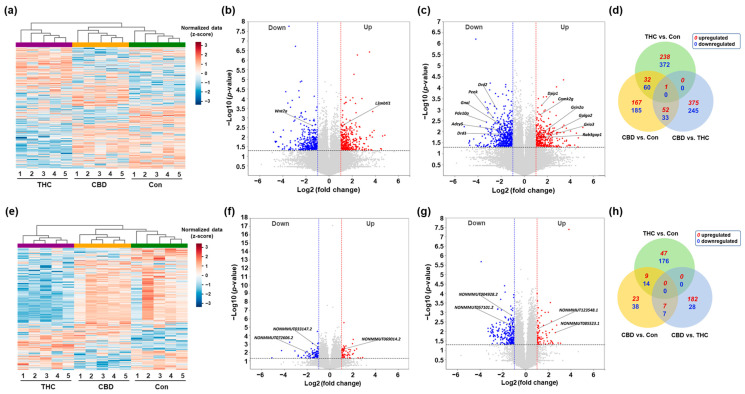 PMC12346642 – ijms-26-07106-f002