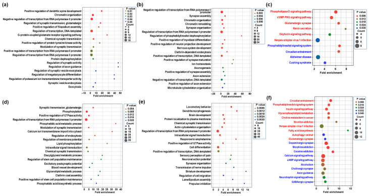 PMC12346642 – ijms-26-07106-f003