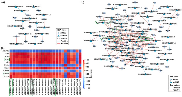 PMC12346642 – ijms-26-07106-f004