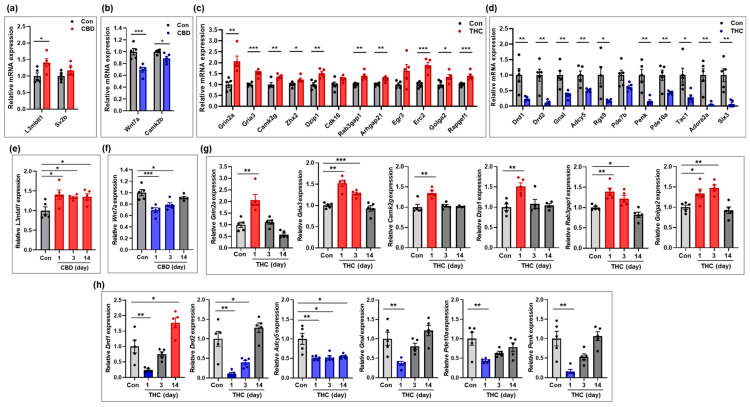PMC12346642 – ijms-26-07106-f005