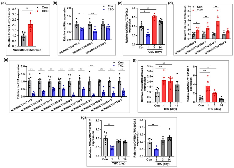 PMC12346642 – ijms-26-07106-f006