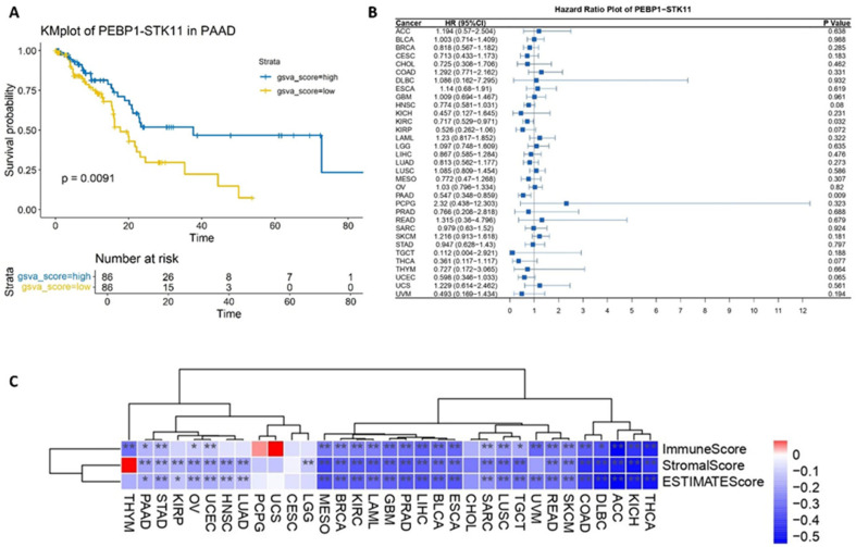 PMC12346703 – ijms-26-07145-f001
