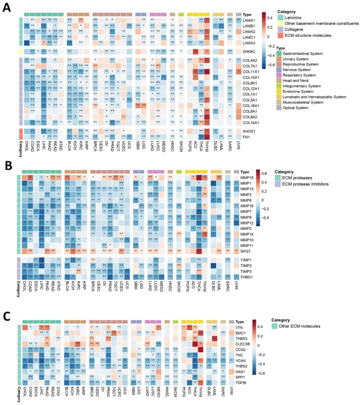 PMC12346703 – ijms-26-07145-f006