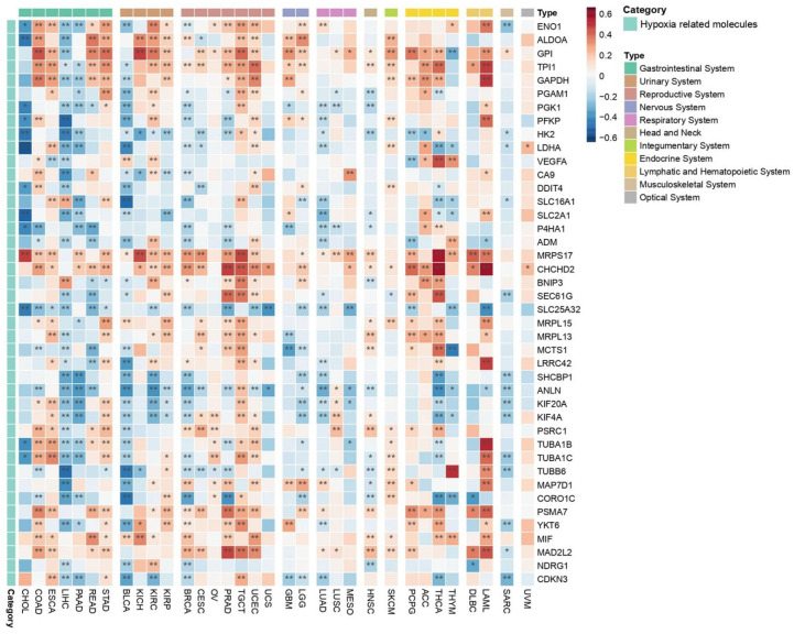 PMC12346703 – ijms-26-07145-f007