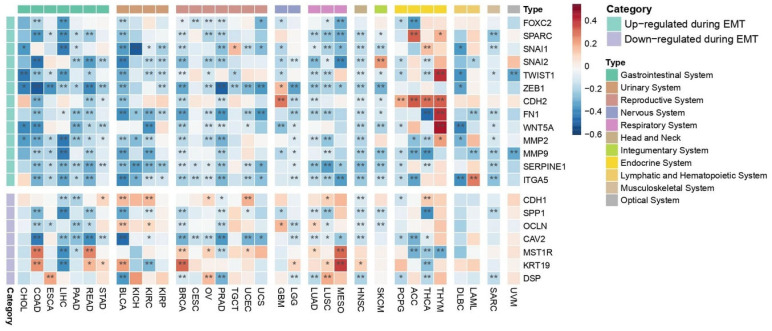 PMC12346703 – ijms-26-07145-f008