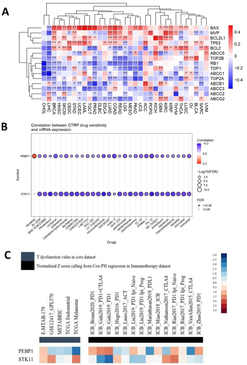 PMC12346703 – ijms-26-07145-f009