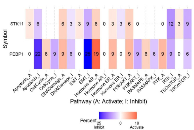 PMC12346703 – ijms-26-07145-f010