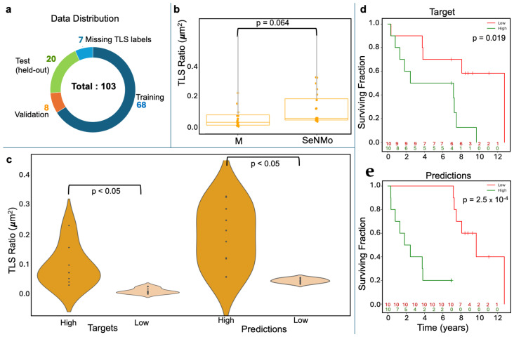 PMC12347193 – ijms-26-07358-f005