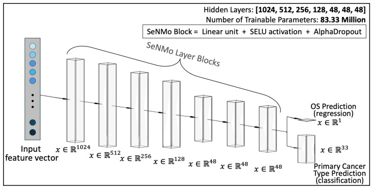 PMC12347193 – ijms-26-07358-f0A2