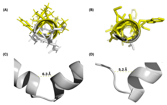 PMC12386314 – ijms-26-07846-f004