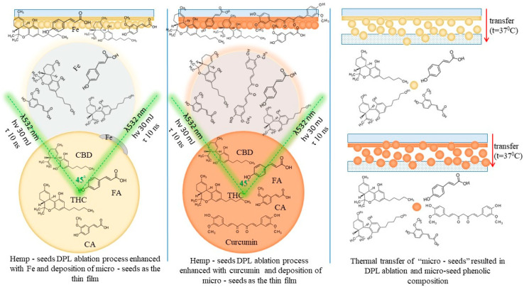 PMC12386652 – ijms-26-07852-f001