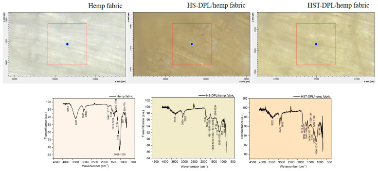 PMC12386652 – ijms-26-07852-f004