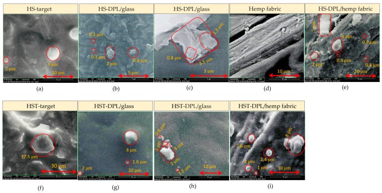 PMC12386652 – ijms-26-07852-f005