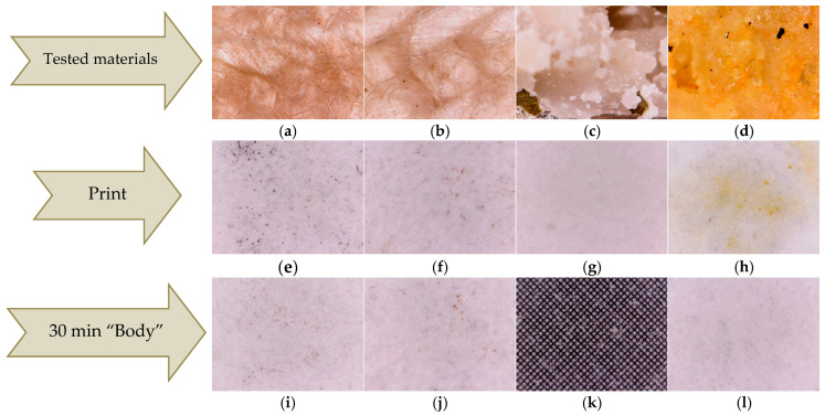 PMC12386652 – ijms-26-07852-f006