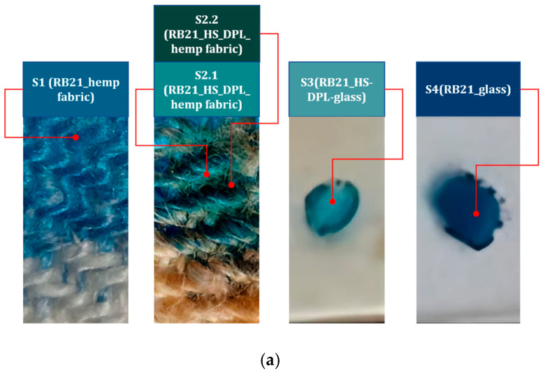 PMC12386652 – ijms-26-07852-f008