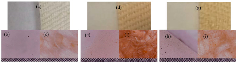 PMC12386652 – ijms-26-07852-f010