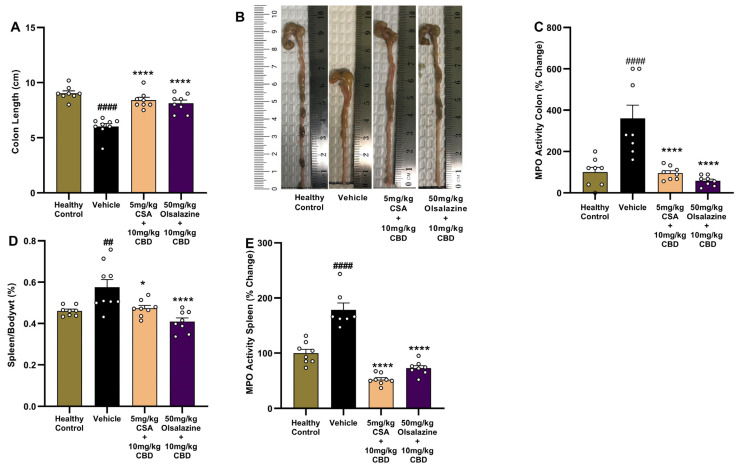 PMC12387022 – ijms-26-07913-f004