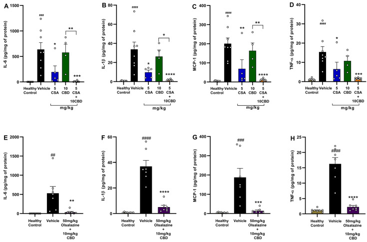 PMC12387022 – ijms-26-07913-f005
