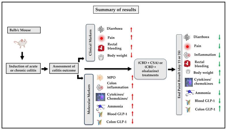 PMC12387022 – ijms-26-07913-f009