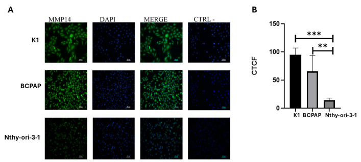PMC12386556 – ijms-26-07956-f002