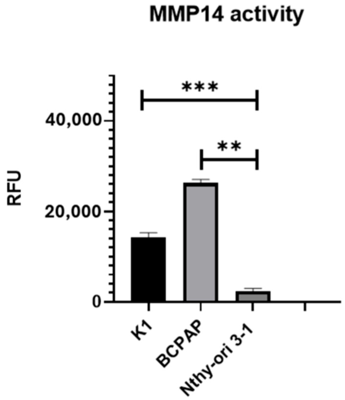 PMC12386556 – ijms-26-07956-f003