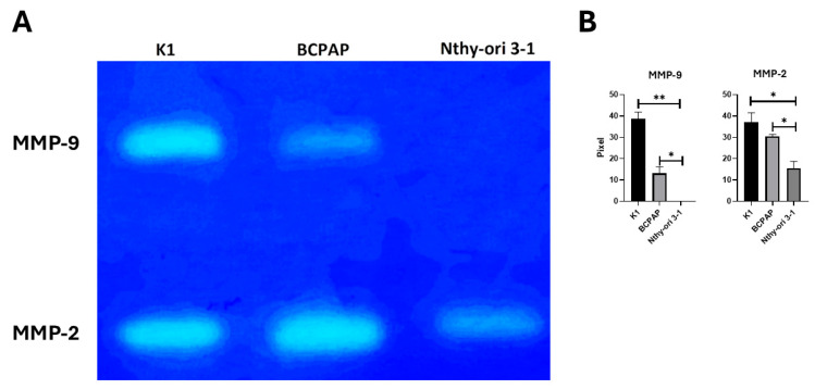 PMC12386556 – ijms-26-07956-f004