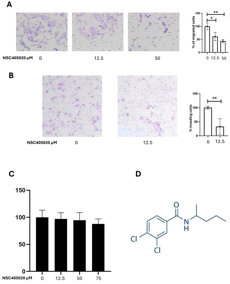 PMC12386556 – ijms-26-07956-f005