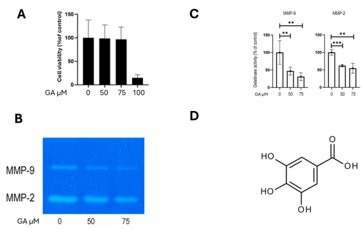 PMC12386556 – ijms-26-07956-f006