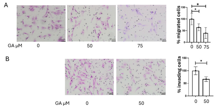 PMC12386556 – ijms-26-07956-f007