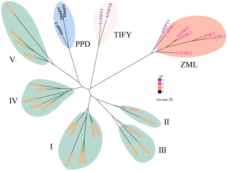 PMC12428757 – ijms-26-08171-f001
