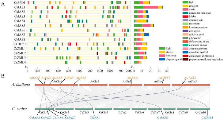 PMC12428757 – ijms-26-08171-f003