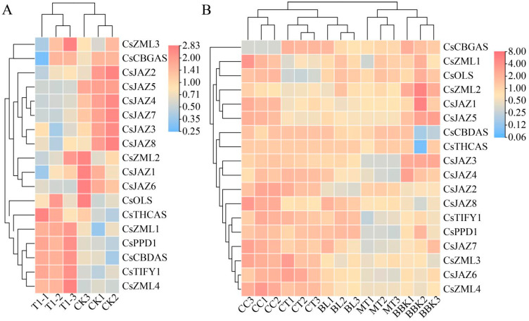 PMC12428757 – ijms-26-08171-f005