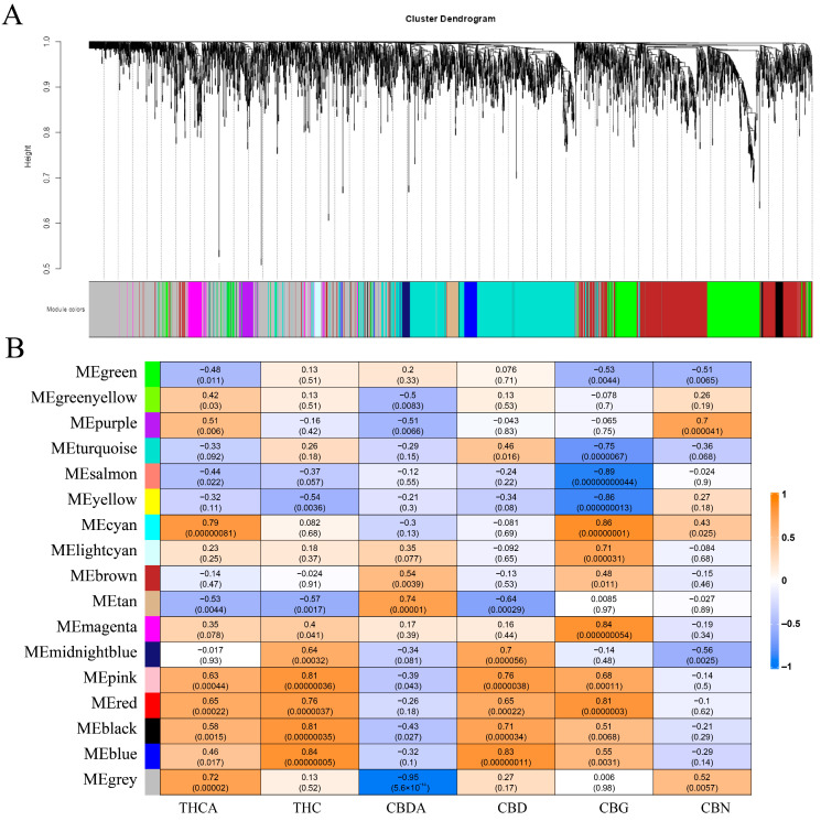 PMC12428757 – ijms-26-08171-f006