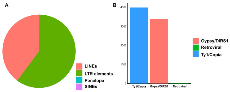PMC12428697 – ijms-26-08354-f001