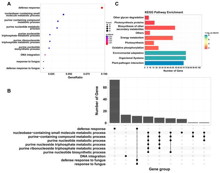 PMC12428697 – ijms-26-08354-f007