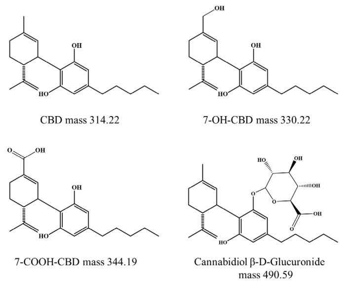 PMC12428432 – ijms-26-08384-f001