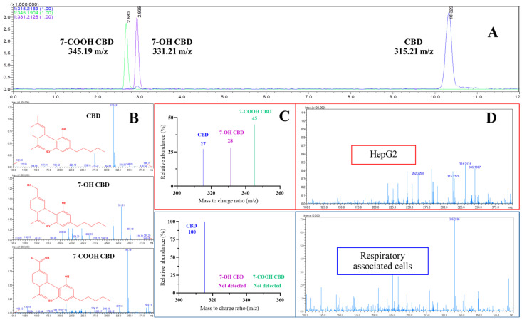 PMC12428432 – ijms-26-08384-f003