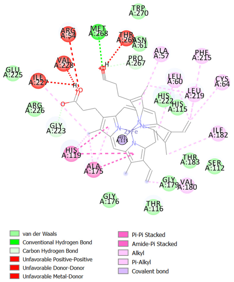 PMC12429610 – ijms-26-08552-f003