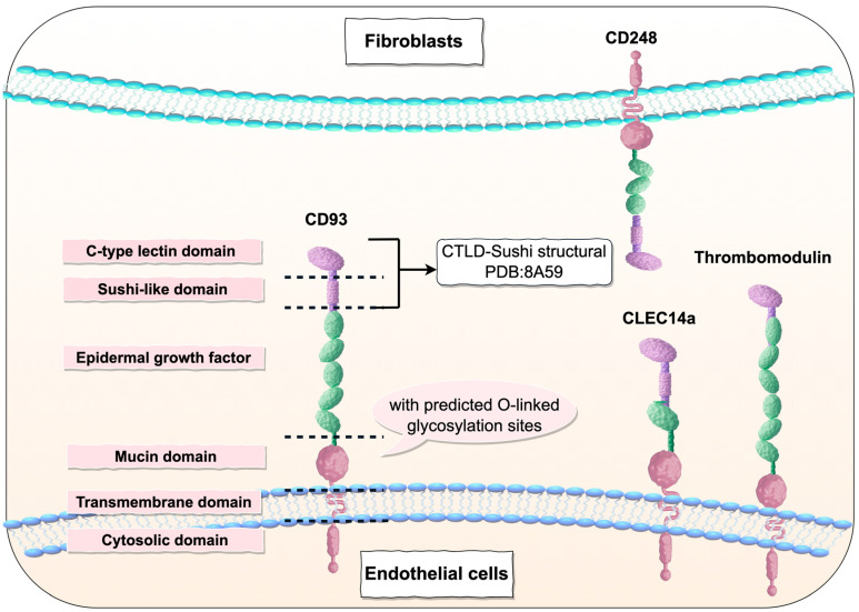 PMC12428824 – ijms-26-08617-f001