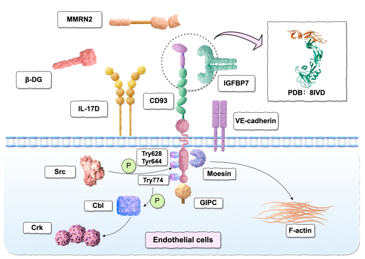 PMC12428824 – ijms-26-08617-f002