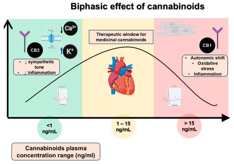PMC12429369 – ijms-26-08635-f001