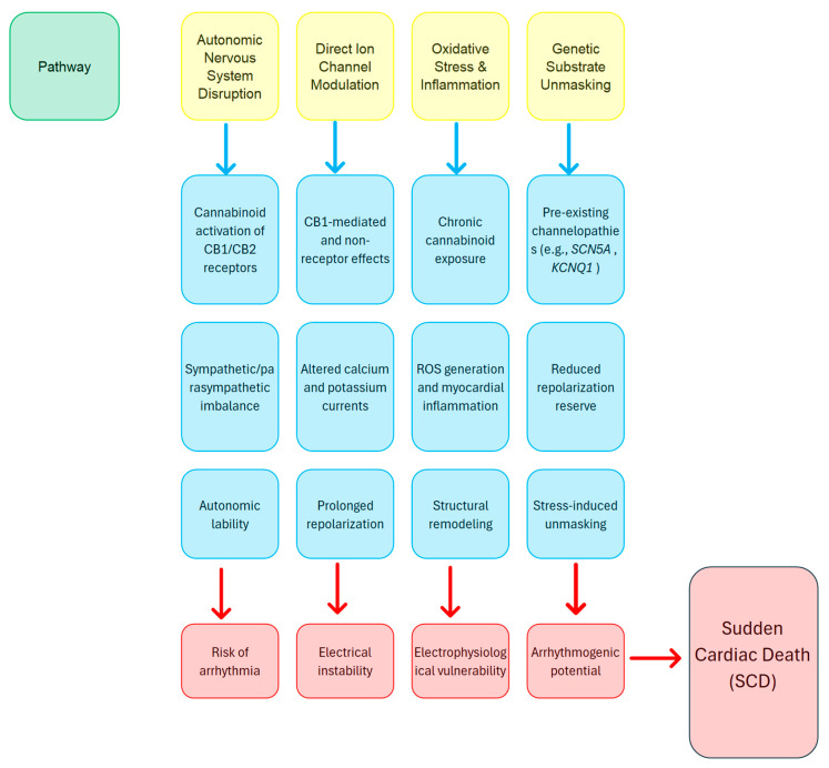 PMC12429369 – ijms-26-08635-f002