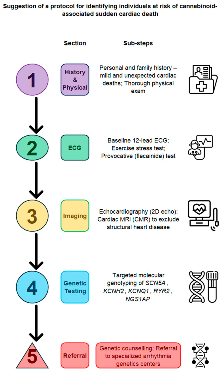 PMC12429369 – ijms-26-08635-f003