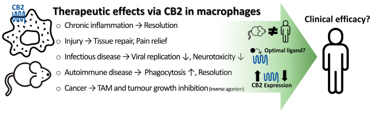 PMC12429087 – ijms-26-08657-f001