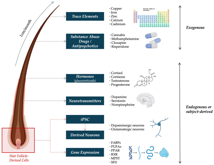 PMC12429735 – ijms-26-08718-f001